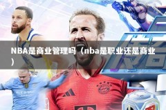 NBA是商业管理吗（nba是职业还是商业）