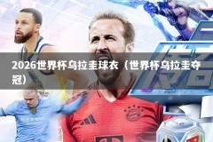 2026世界杯乌拉圭球衣（世界杯乌拉圭夺冠）