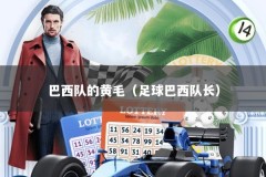 巴西队的黄毛（足球巴西队长）
