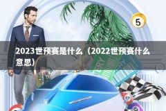 2023世预赛是什么（2022世预赛什么意思）