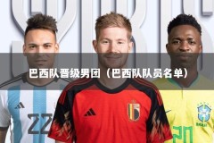 巴西队晋级男团（巴西队队员名单）