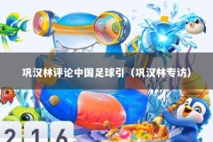 巩汉林评论中国足球引（巩汉林专访）