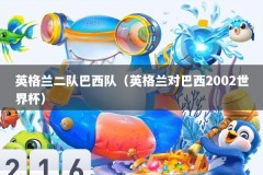 英格兰二队巴西队（英格兰对巴西2002世界杯）