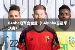 04nba冠军含金量（04年nba总冠军决赛）