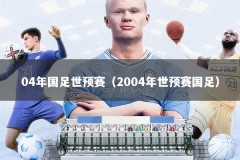 04年国足世预赛（2004年世预赛国足）