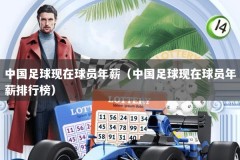 中国足球现在球员年薪（中国足球现在球员年薪排行榜）