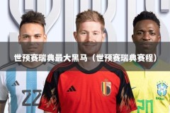 世预赛瑞典最大黑马（世预赛瑞典赛程）