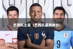 巴西队土豪（巴西队最新身价）
