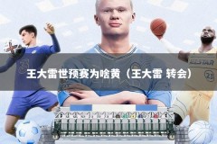王大雷世预赛为啥黄（王大雷 转会）
