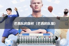 巴西队的旗帜（巴西的队徽）
