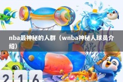 nba最神秘的人群（wnba神秘人球员介绍）