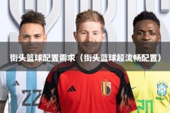街头篮球配置需求（街头篮球超流畅配置）