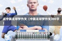谈中国足球梦作文（中国足球梦作文300字）