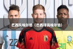 巴西队埃尔伯（巴西球员埃尔伯）