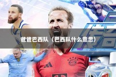爸爸巴西队（巴西队什么意思）