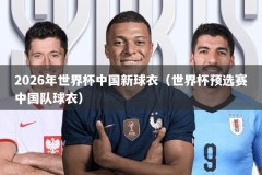 2026年世界杯中国新球衣（世界杯预选赛中国队球衣）