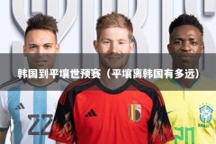 韩国到平壤世预赛（平壤离韩国有多远）